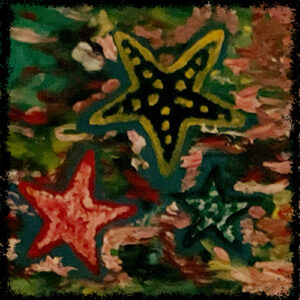 3 Sea Stars